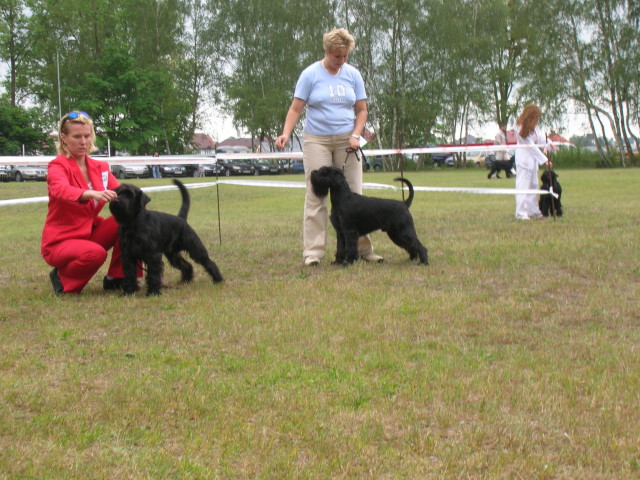 Miro Stettin 2006 2.JPG